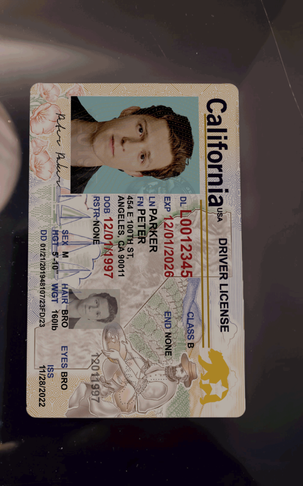 Georgia Fake ID PSD Template - Editable and High-Quality - Image 3