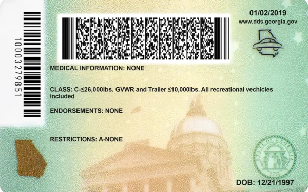 Georgia Fake Driving License PSD Template - Editable and High-Quality - Image 2