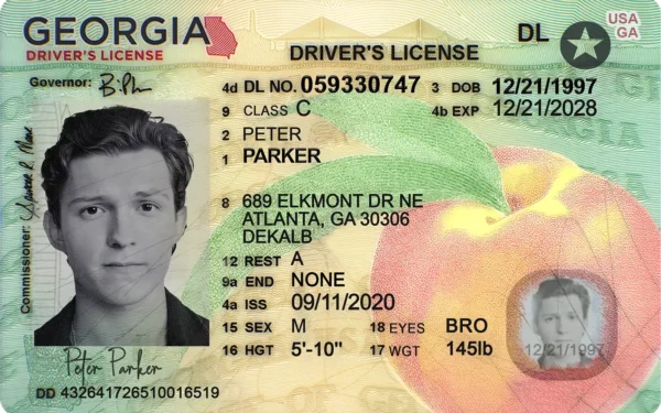 Georgia Fake Driving License PSD Template - Editable and High-Quality